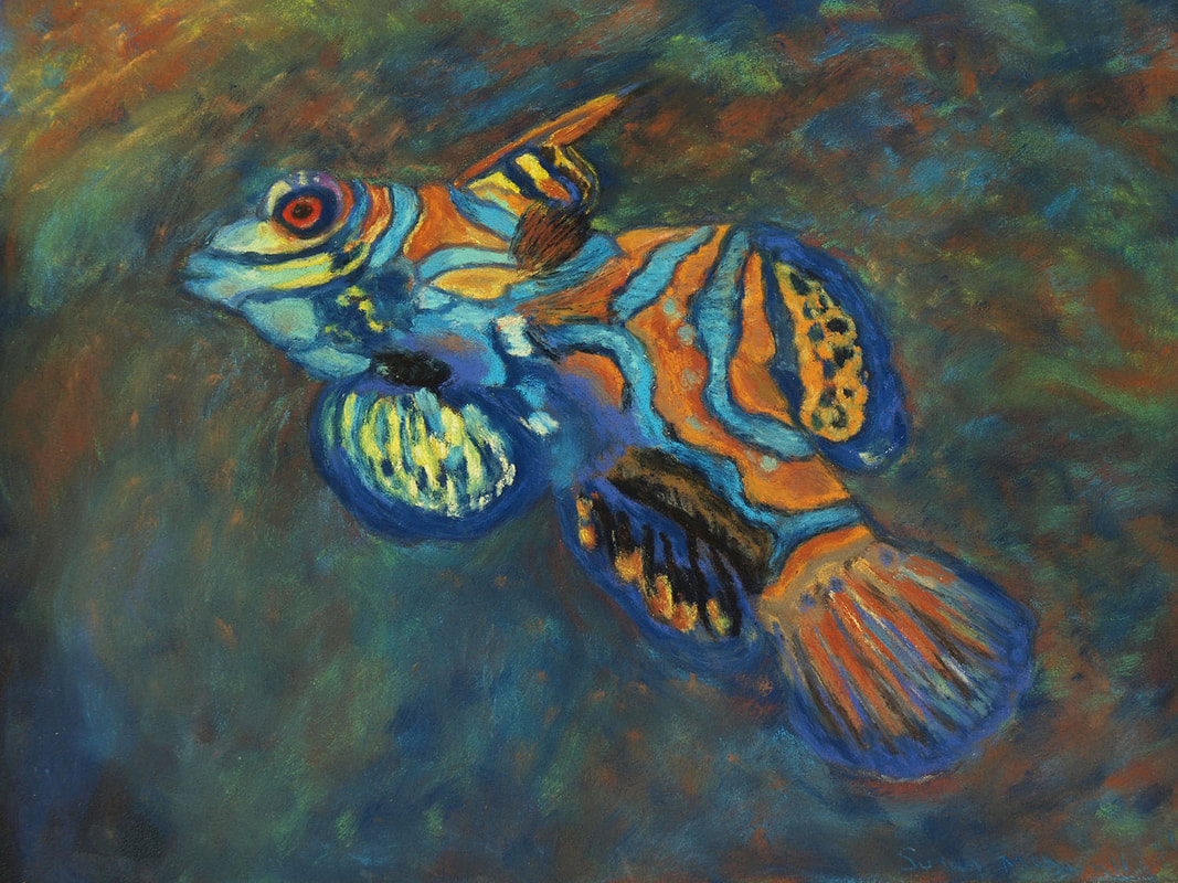 Dragon Fish - soft pastel