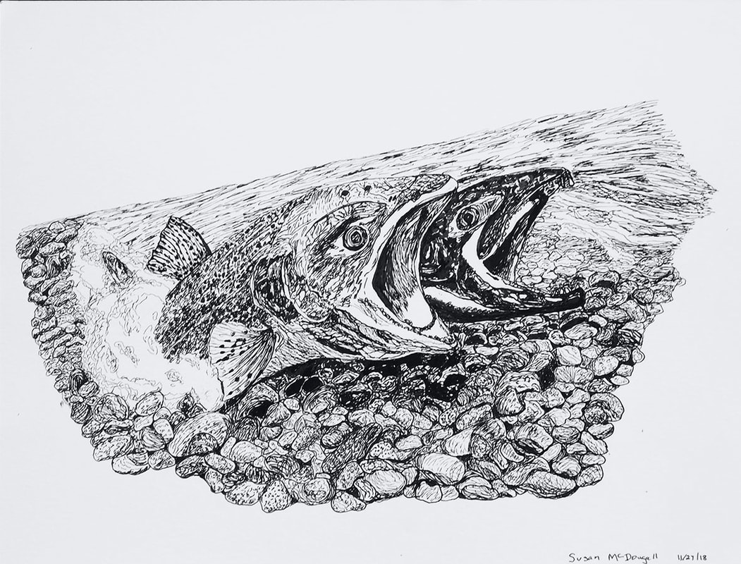 Salmon - Felt tip pen
